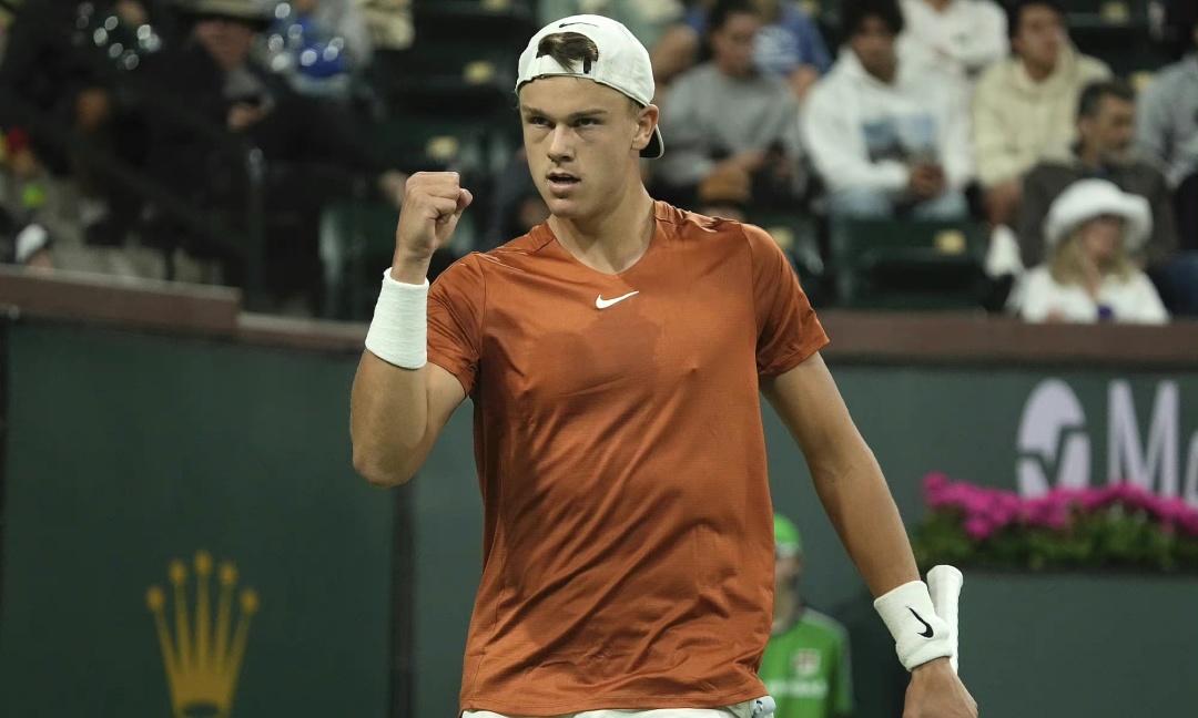 让它在搜索 让它在搜索