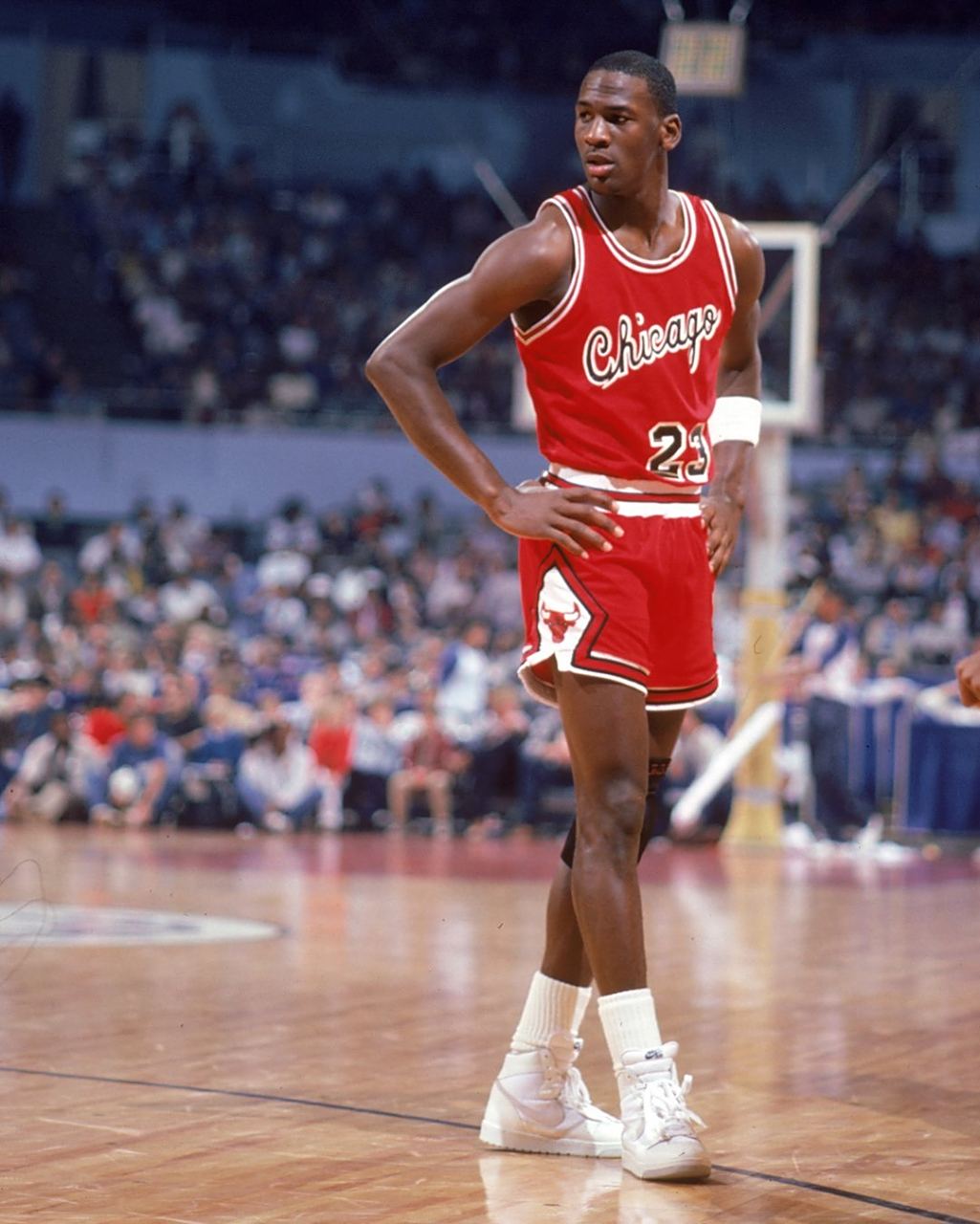 质量训练 质量训练